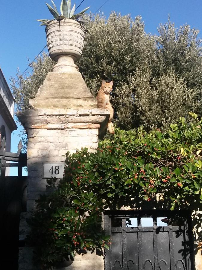 D'Ago48 Bed & Breakfast Ancona Bagian luar foto